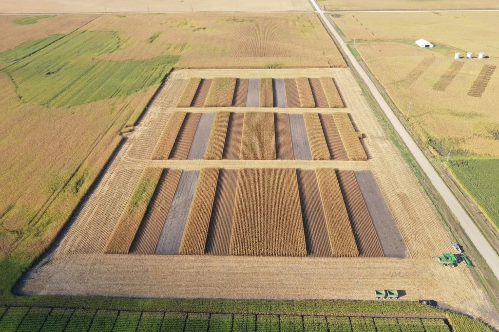 Nitrous oxide flux chamber deployed on crop field