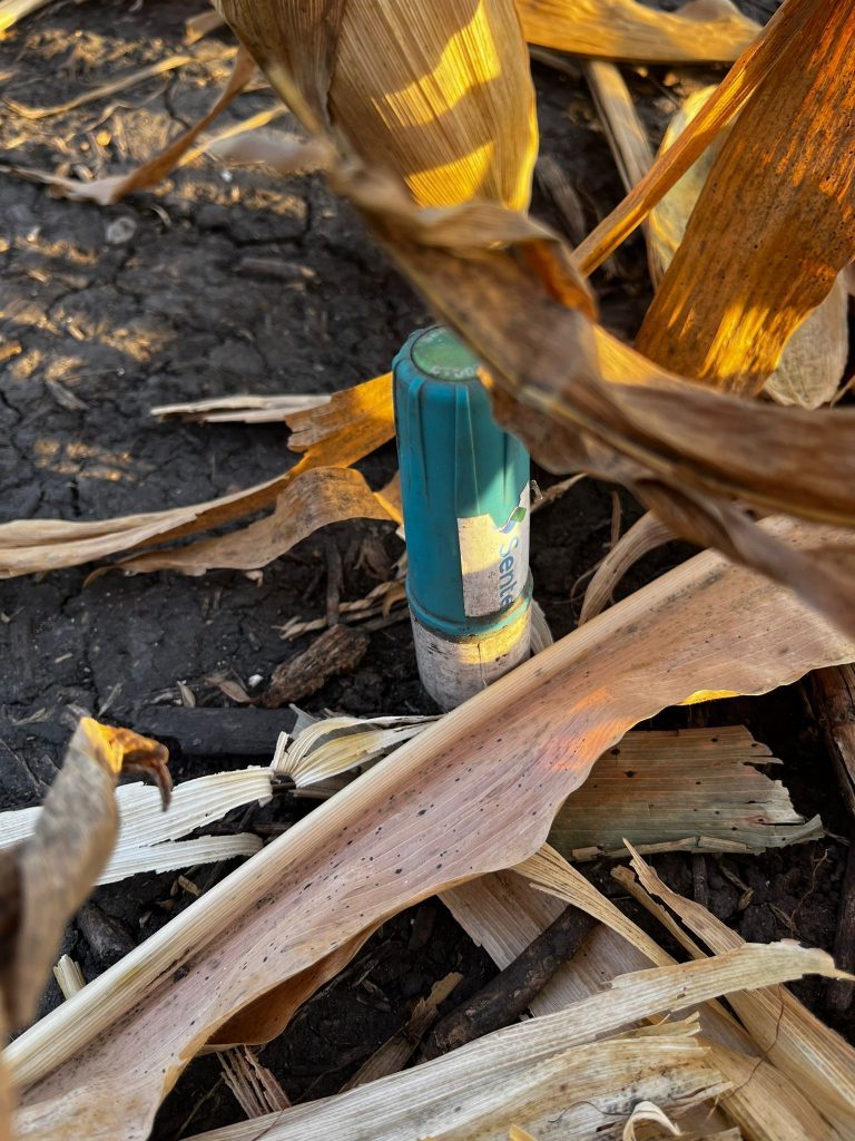 Team member recording field measurements at WCS-FARM Kansas site