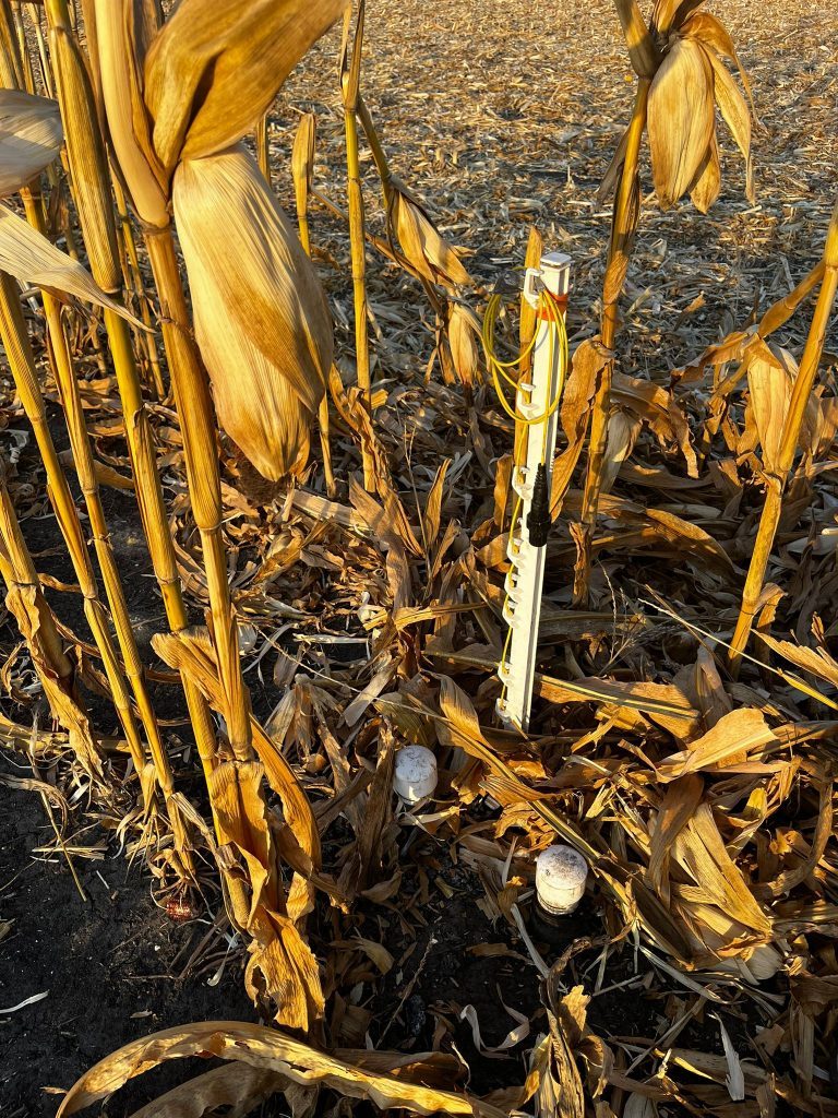 Soybean crop trial plots at WCS-FARM Ohio location