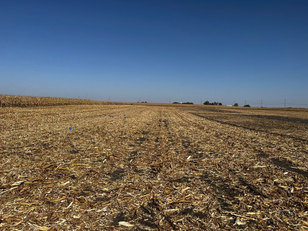 Corn canopy at V6 growth stage — WCS-FARM Nebraska Bayer Learning Center