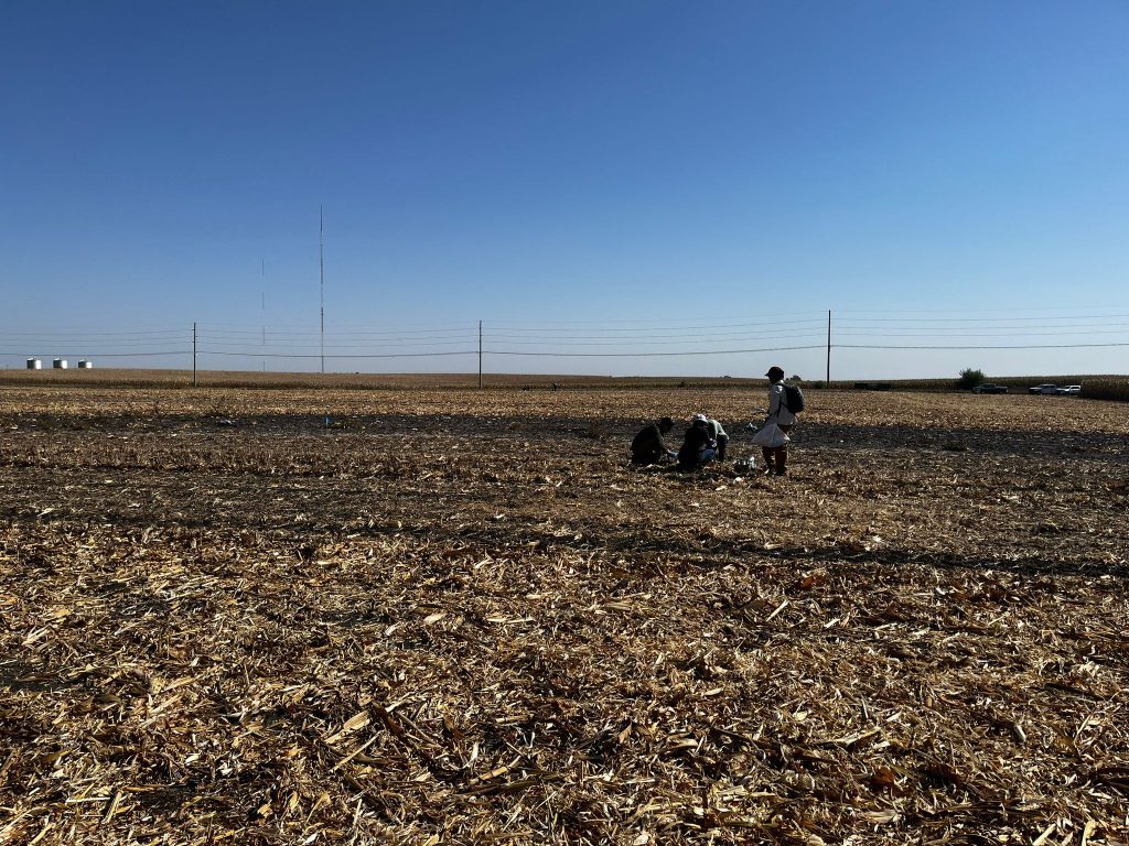 Tile drainage outlet monitored for nitrogen and phosphorus leaching