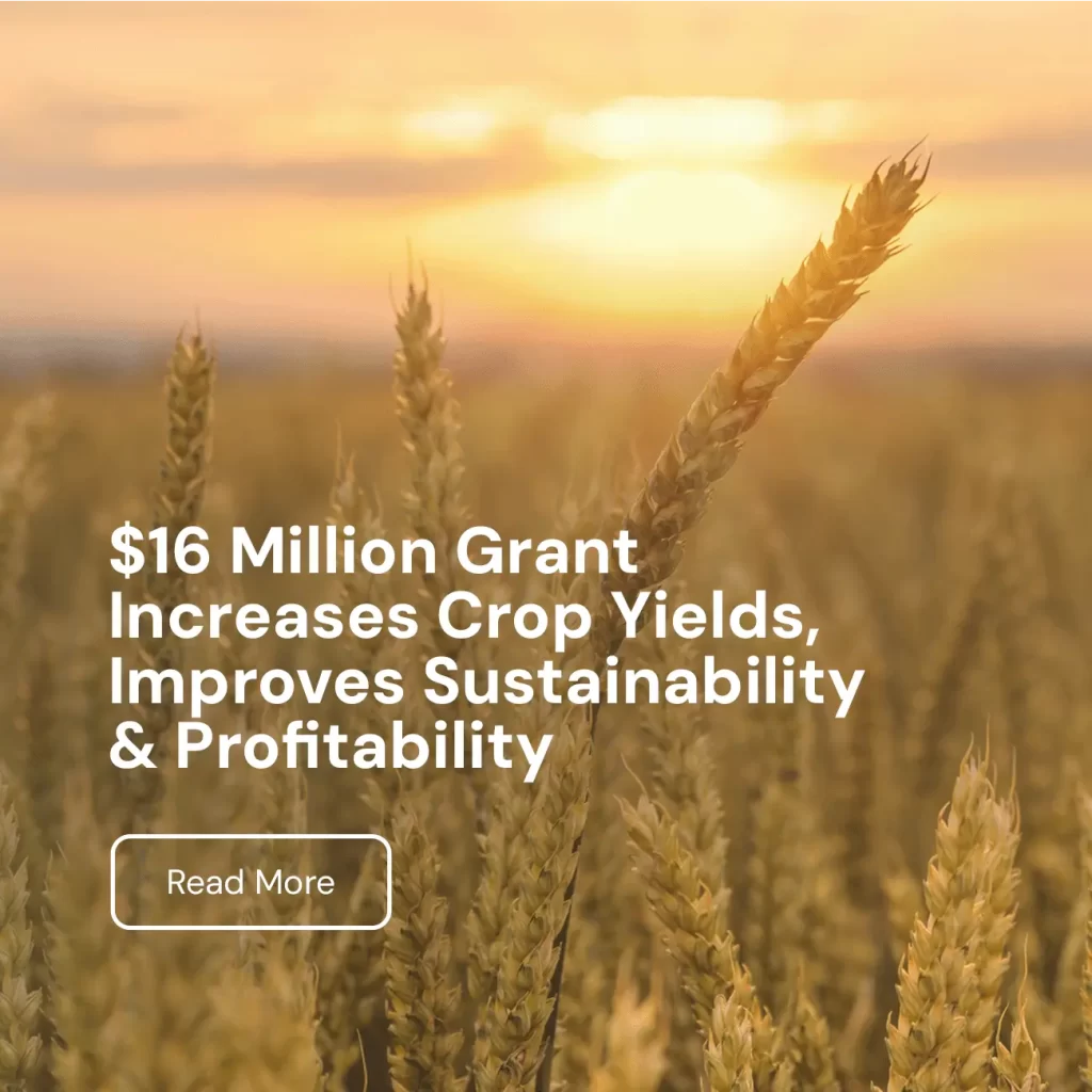 FFAR announcement: $16M grant to increase crop yields and sustainability
