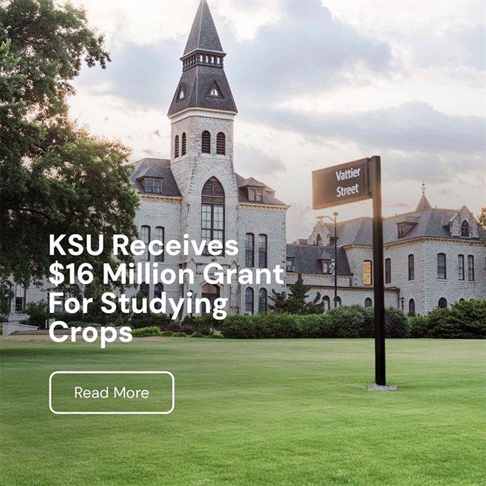Baking Business article on K-State's $16M crop study grant